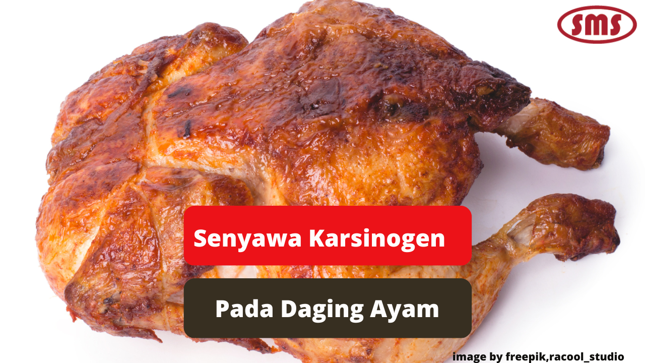 Kenali Bahaya Kandungan Zat Karsinogen Pada Daging Ayam Agar Sehat